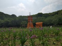 -苏州上方山国家森林公园
