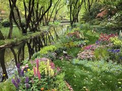 -上海共青森林公园