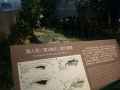 -北京周口店北京人遗址博物馆