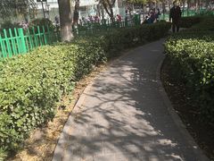 -双榆树公园