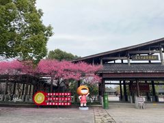 -西溪国家湿地公园