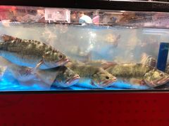 水产区-盒马鲜生(双清路店)