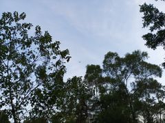 -华南师范大学(广州大学城校区)