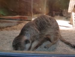 -酷嗒动物文化乐园(cutezoo西溪乐天城店)