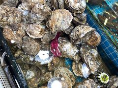 -明记海鲜大排档(巽寮湾店)
