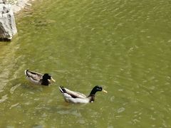 -香山公园-东宫门售票处