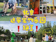 -爪吧宠物乐园·宠物泳池(温榆河示范区店)