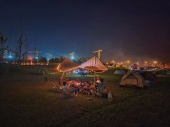 -春花秋色城市公园