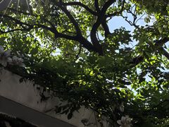 -阪尚皇·原切牛排·烤肉火锅自助(北京路店)