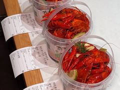 -杨氏青龙虾·羊蝎子(托乐嘉店)