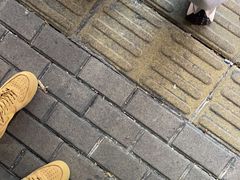 -鞠氏黑芝麻糊(水塔店)