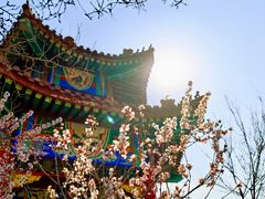-白水寺森林公园