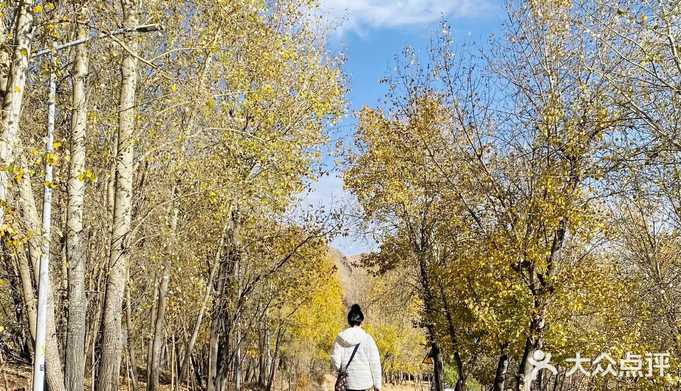 布达拉宫最初是仿照它的样子建的