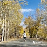 布达拉宫最初是仿照它的样子建的
