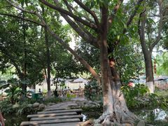 -成都市活水公园