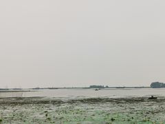 -杨辉饭店