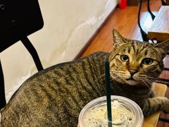 -HUG COFFEE(鼓楼店)