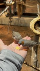 -Zoolung Zoolung动物主题公园(海信广场店)