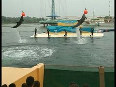 -秦皇岛乐岛海洋王国