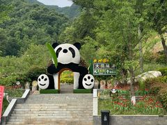 -栾川竹海野生动物园