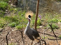 -济南野生动物世界