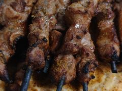-艾力江和田馕坑烤肉店