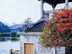 -荔湾湖公园