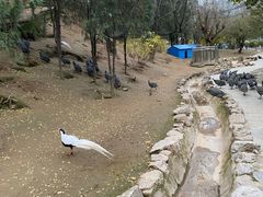 -森林公园(尖草坪区)