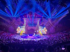 -珠海横琴长隆《卡卡虎奇遇记》