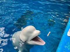 -石林冰雪海洋世界