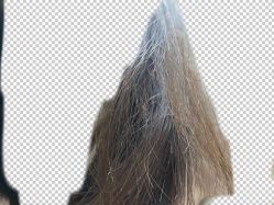 -Mentor Hair Salon
