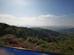 -广州市白云山风景名胜区
