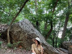 -紫金山天文台