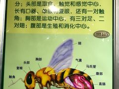 -上海昆虫博物馆