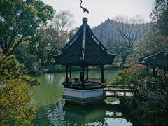 -上海醉白池公园
