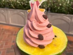 -IL paperino帕帕里诺冰激凌