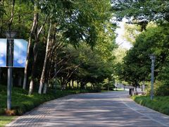 -杭州城北体育公园