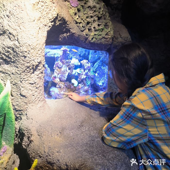 郑州海洋馆图片