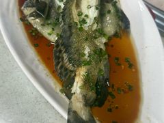 -墨脱石锅椰子鸡•香草鸭•东山羊(大东海店)