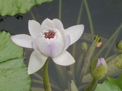 -云溪植物园