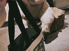 -Carmen卡门西班牙餐厅