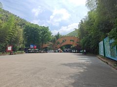 -紫藤园·天目湖大鱼头(南山竹海店)