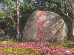 -野狸岛