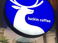 -瑞幸咖啡(星辉中心店)