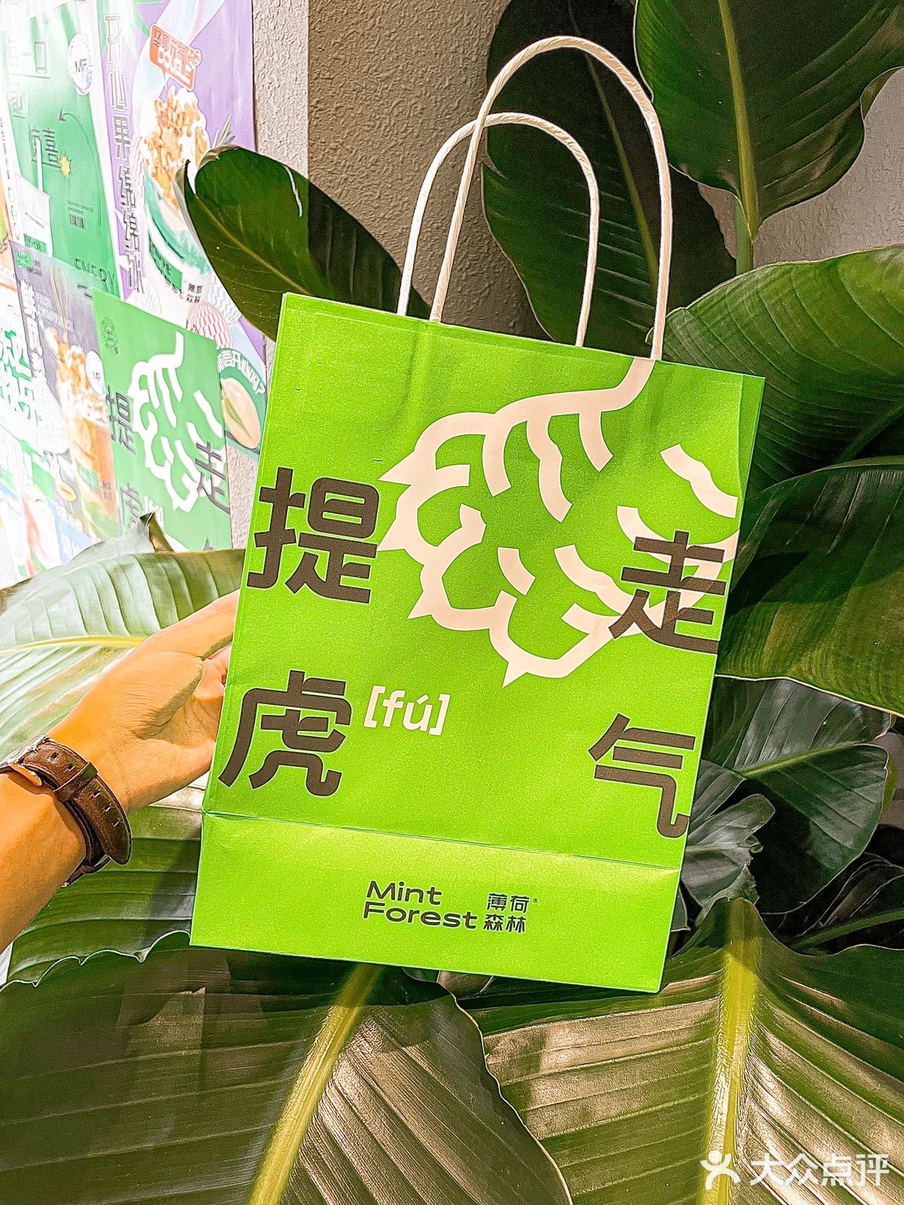 - 在成都旅游真的不要错过这家薄荷森林！