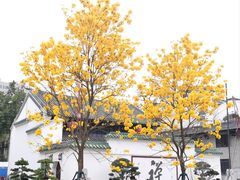 -光孝寺