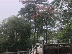 -水濂山森林公园