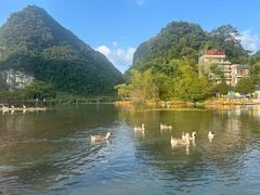 -靖西鹅泉风景区