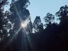 -火炉山森林公园