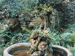 -惠山古镇·寄畅园